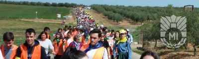 odm-2025-1.jpg